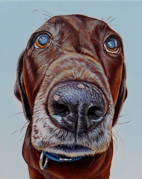 Реалистичные картины животных