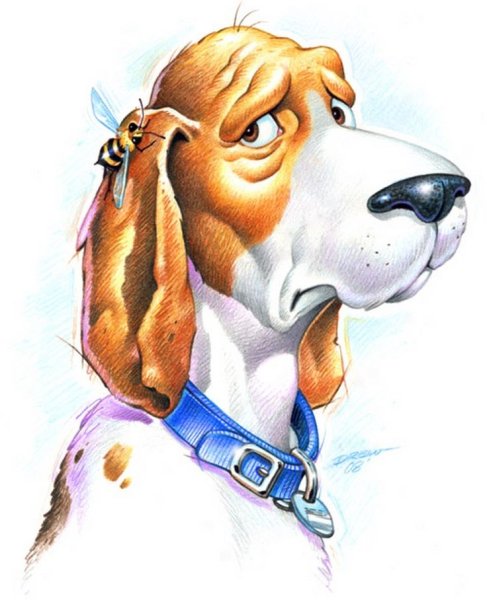 Смешная собака рисунок