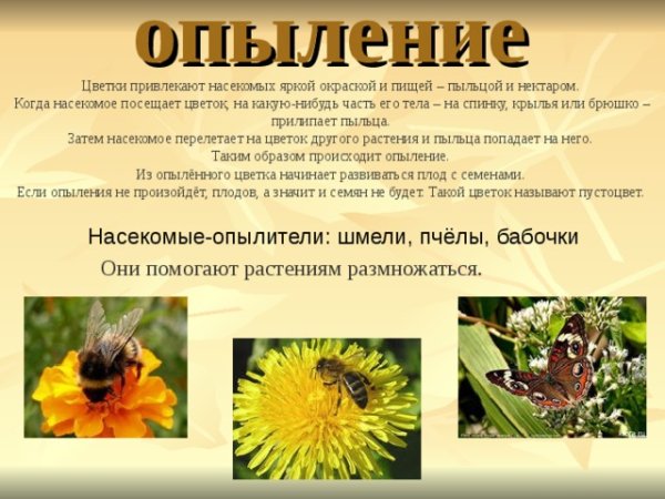 Опыление растений