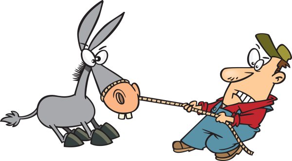 Осел упрямится