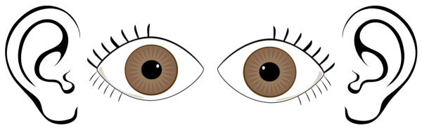 Раскраска глаза и уши