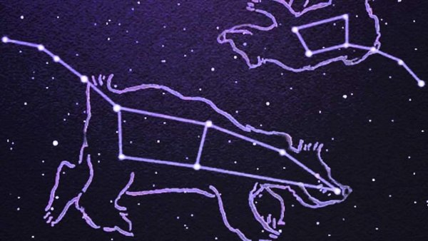 Ursa Minor Созвездие