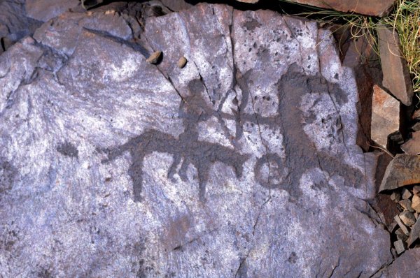 Петроглифы Баянжурек