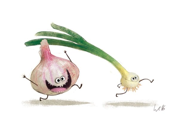 Чеснок рисунок