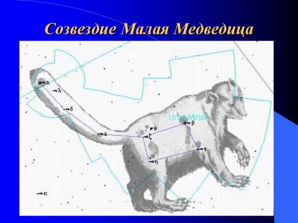 Малая Медведица Созвездие