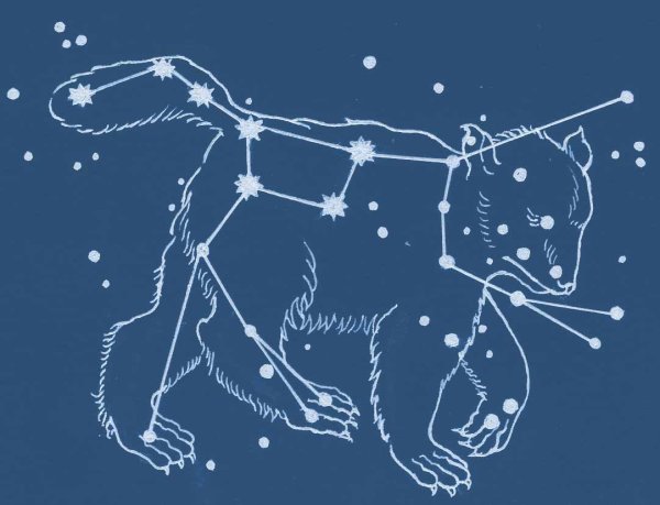 Созвездие Зимун малая Медведица