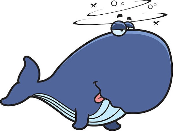 Смешных китов