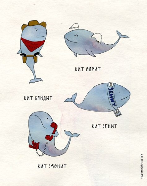Кит шутки