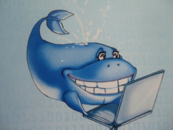 Прикольный кит