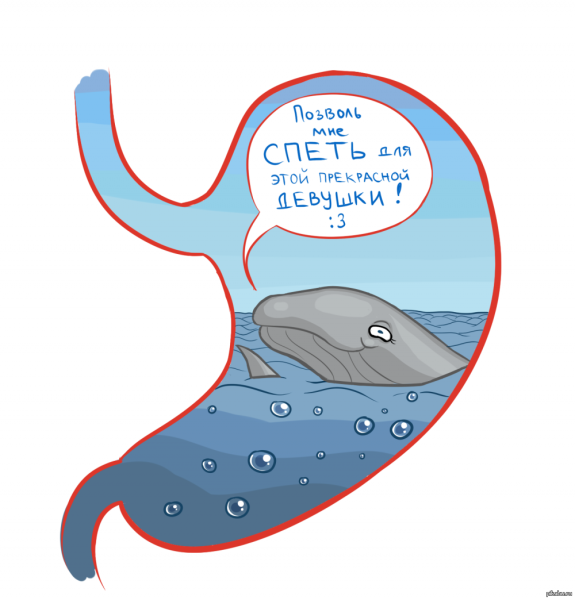 Позволь мне спеть кит желудок