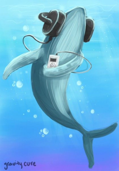 Кит рисунок