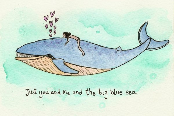 Рисунок кита для срисовки