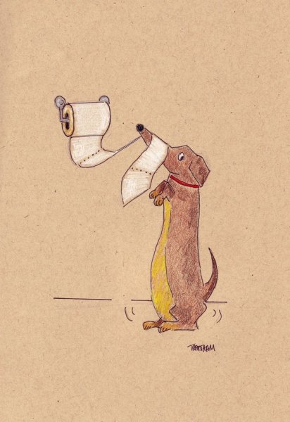 Юмористические рисунки таксы