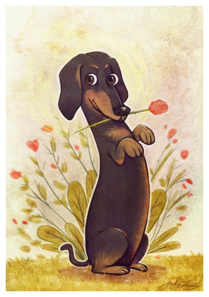 Такса с цветком