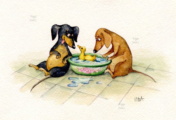 Инга Измайлова таксы