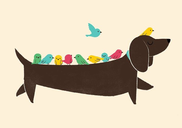 Такса живопись смешная