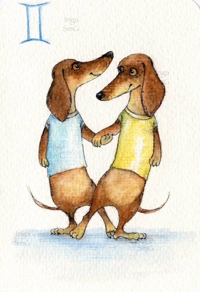 Мультяшные таксы