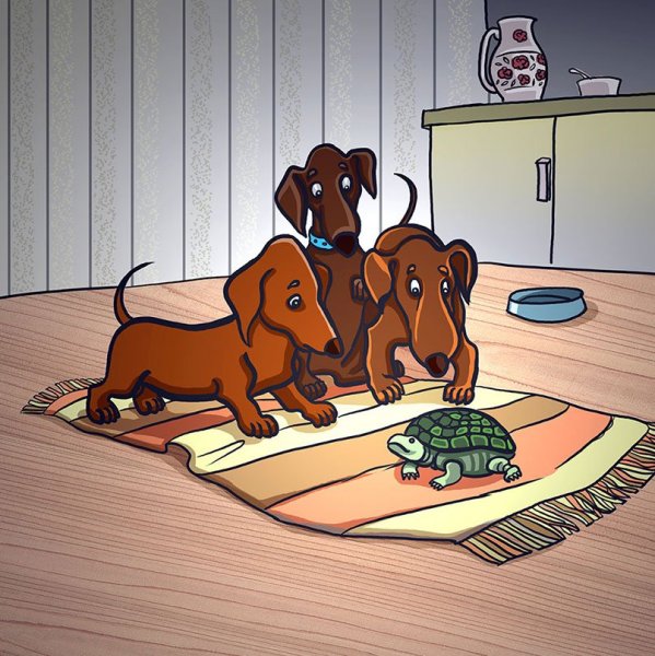 Прикольные рисунки собак