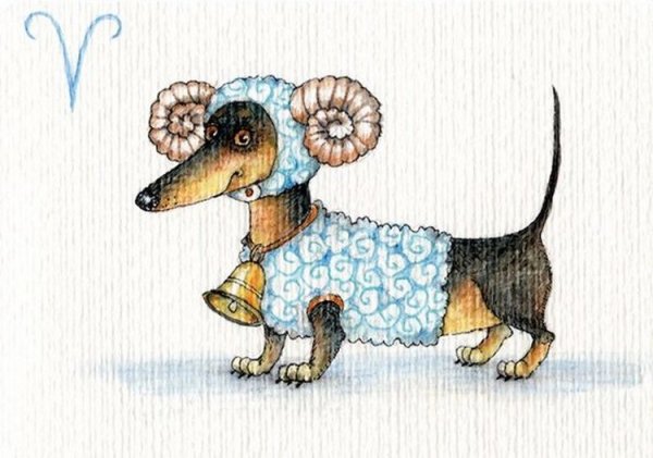 Инга Измайлова таксы