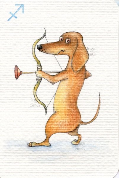 Открытки с таксами смешные