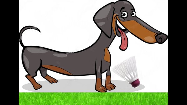 Инга Измайлова иллюстрации таксы