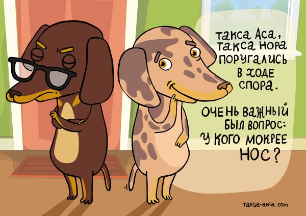 Такса с длинным носом сбоку