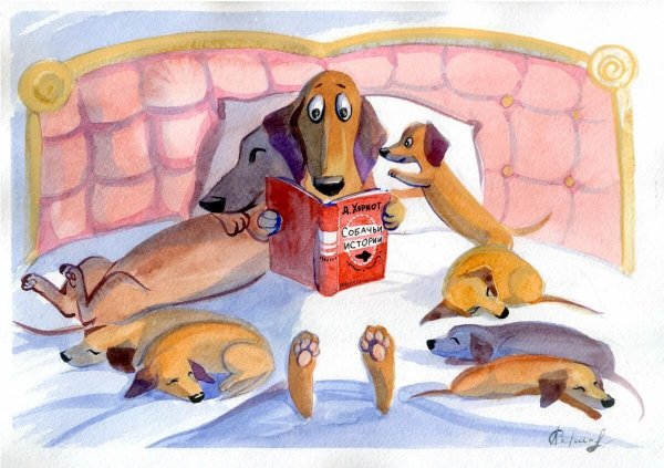 Такса с прикольные обои