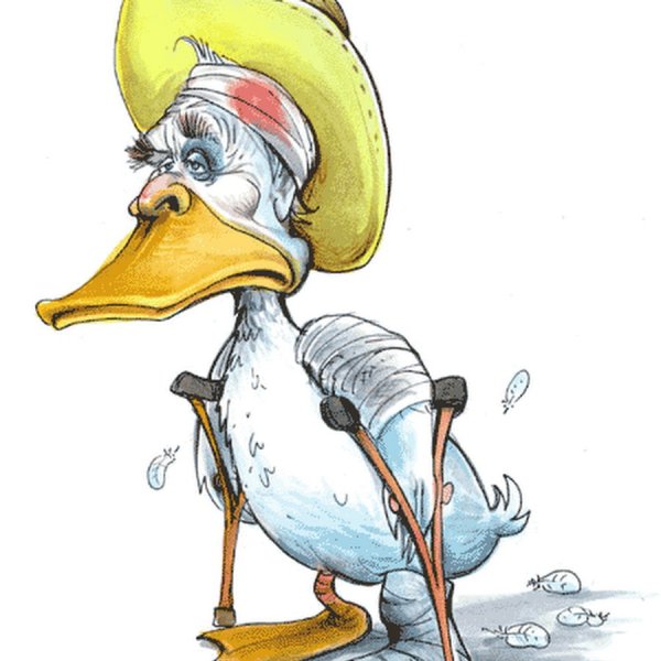 Хромая утка