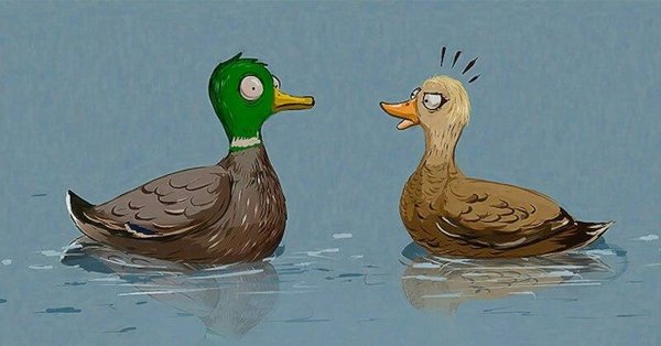 Приколы про уток