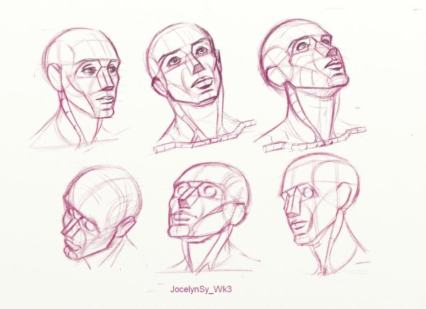 Гатамелат гипсовая голова рисунок