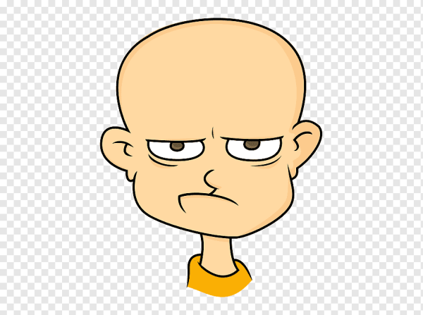 Анатомия Баммеса голова