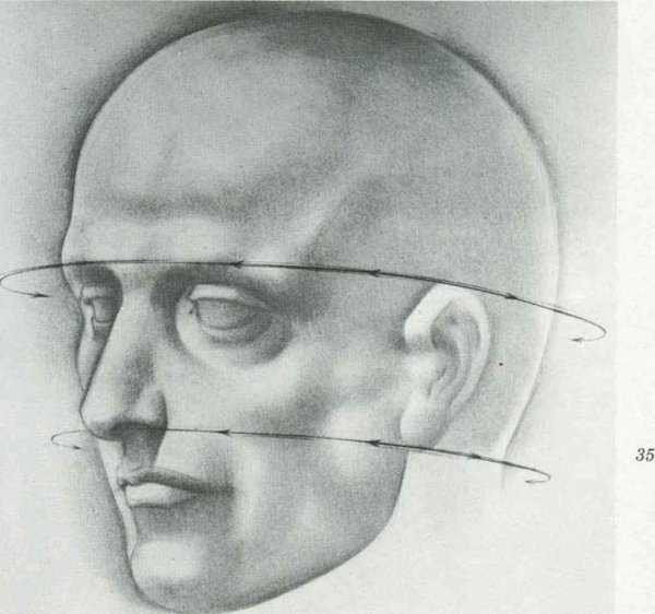 Глен Вилппу художник