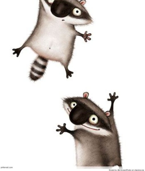 Смешной енот рисунок