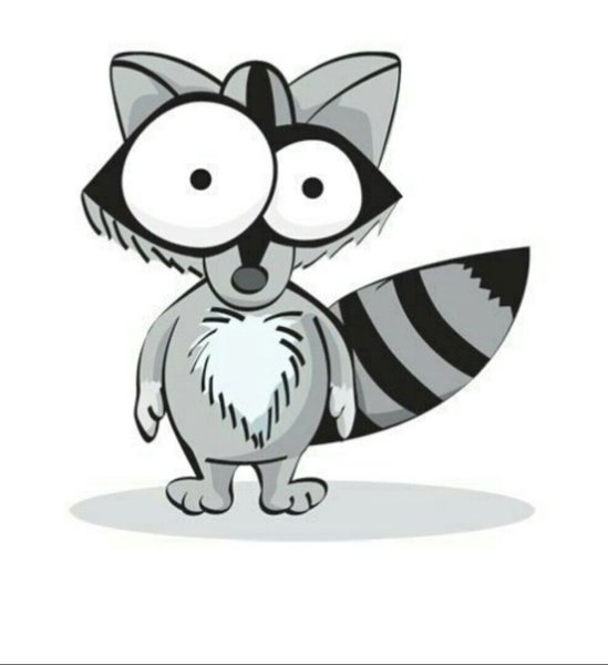 Мультяшные еноты