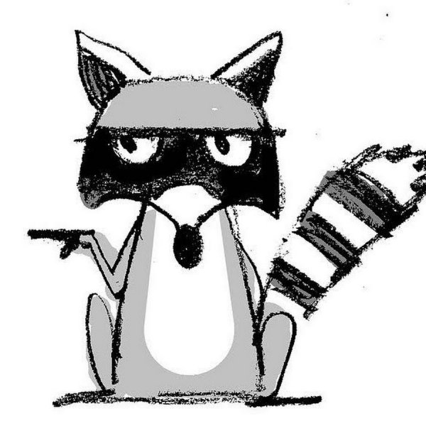 Рисунки енотов прикольные