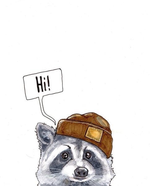 Енот в шапке арт