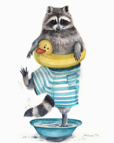 Пловецкая Татьяна еноты