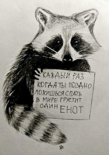 Грустный енот рисунок