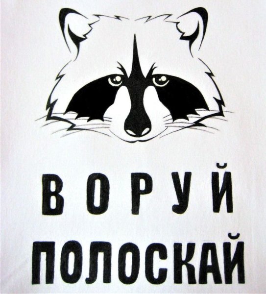 Еноты с надписями