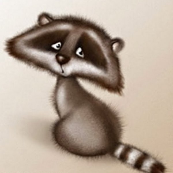 Зеленый енот