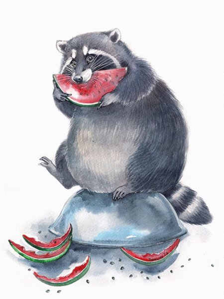 Пловецкая Татьяна еноты