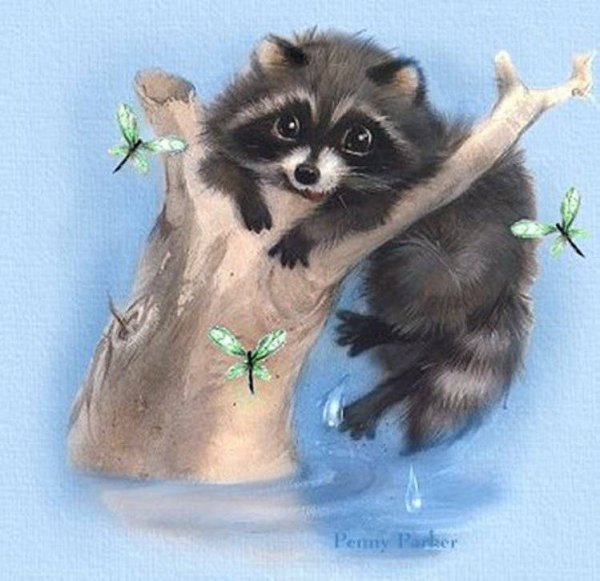 Милые енотики арт