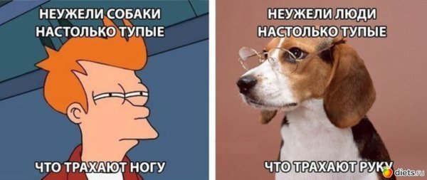 Гусь Дональд дак