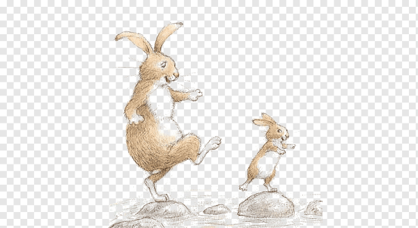 Иллюстрации Петры Браун зайцы