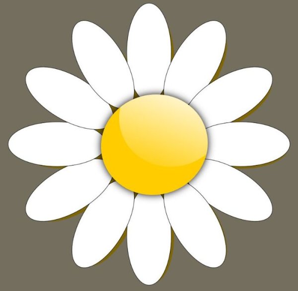 Детский сад Ромашка