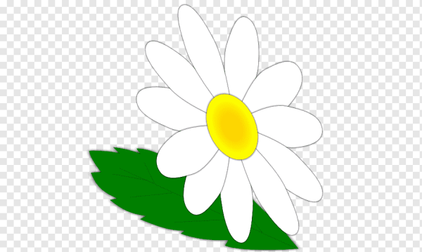 Ромашки для вырезания цветные