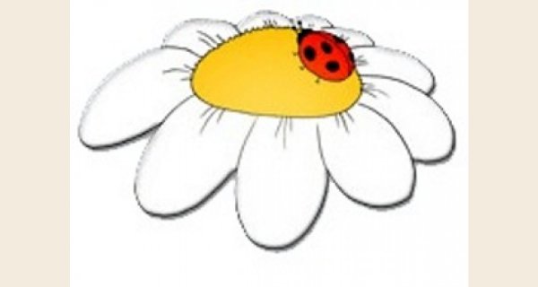 Ромашка раскраска