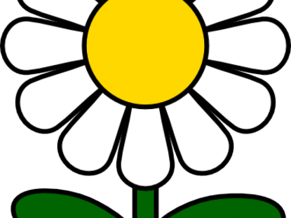 Ромашка рисунок черно белый