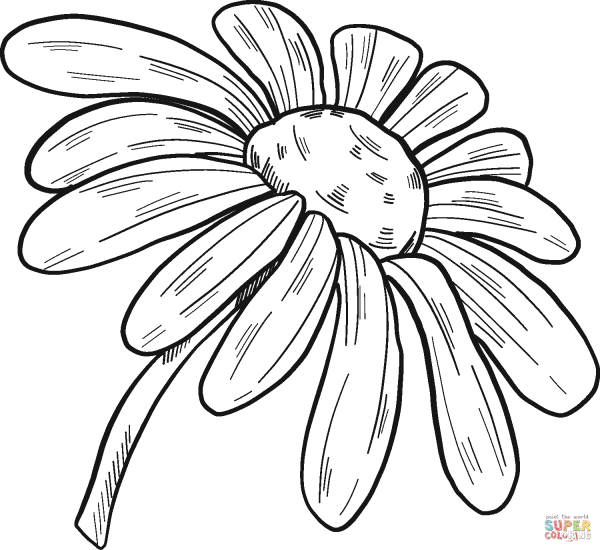 Ромашка трафарет для вырезания