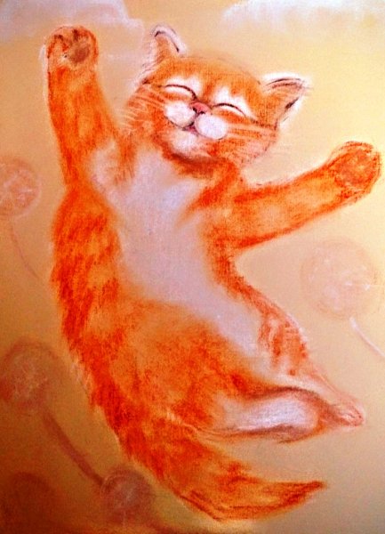 Оранжевые коты